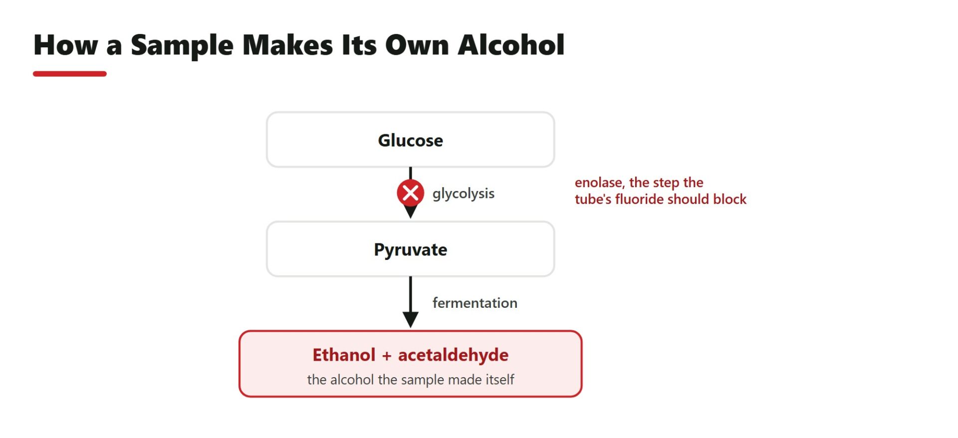 How a Sample Makes Its Own Alcohol